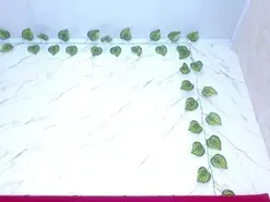 Amateur Sex Cam of amandacanelacm