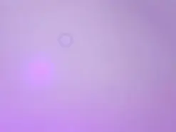 Amateur Free Porn Cam of Shopie_Colucci