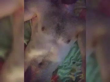 Bongacams Live Sex of Incognitosexy