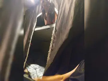Bongacams Watch Live Sex Cams of Paratrax