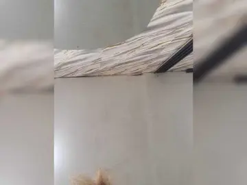 Bongacams Best live sex cam show of PinkKittyy