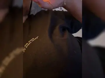 Bongacams Live Sex Cam of IrisEvans