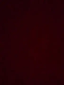 Cam4 Live Porn of Preto_quente00