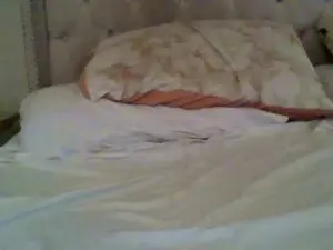 Cam4 Live Sex of estet11