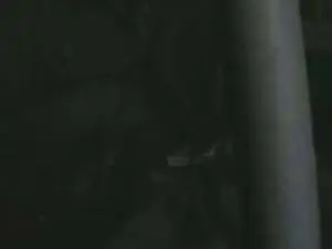 Cam4 Free Live Porn of 0barbanera