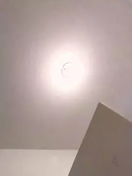 Cam4 Best Webcam of dan666mex