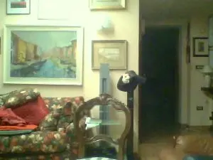 Cam4 Adult Webcam of dandy3