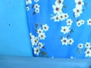 Cam4 Sex Cam of Pricylah