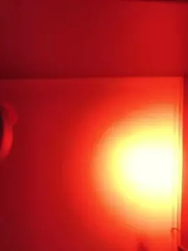 Cam4 Best live sex cam show of jereklein24k