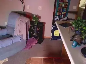 Cam4 Best Webcam of MikeSpyke