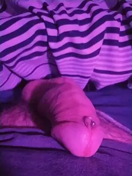 Cam4 Best Webcam of Hazetime