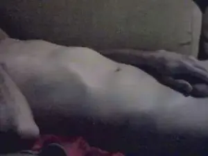 Cam4 Sex Chat of clipper79