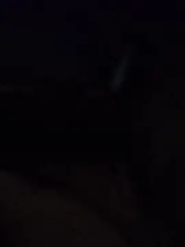 Cam4 Free Porn Cam of genny1921