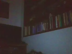 Cam4 Live Porn of gusvan