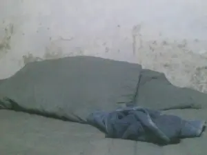 Cam4 Sex Chat of joserastasex