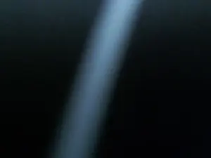Cam4 Free Live Porn of HotJames2