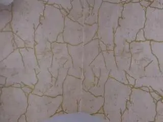 Camsoda Sex Cam of redbonelolly