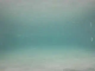 Camsoda Live Porn of voyeurcam-casa-salsa-pool-1