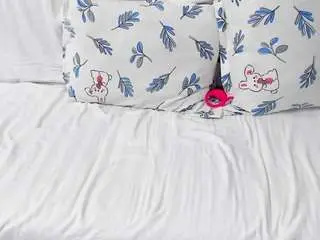 Camsoda Adult Webcam of toramika
