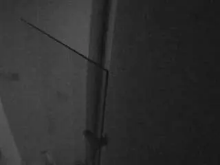 Camsoda Free Porn Cam of voyeurcam-casa-salsa-bathroom-7