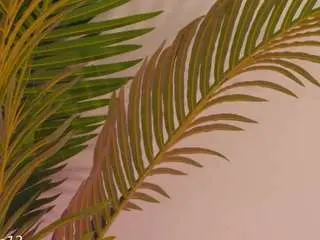 Camsoda Adult Webcam of valery-swan