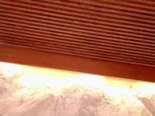 Camsoda Adult Video Chat of lissafeniix