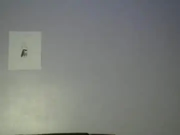 Chaturbate Adult Webcam of bigxcountry_39