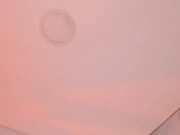 Chaturbate Sex Chat of hade_cute2