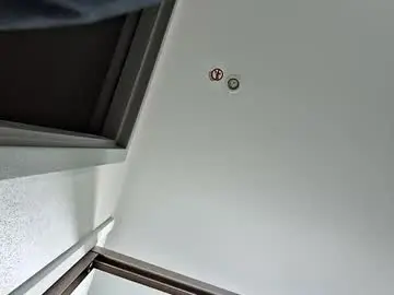 Chaturbate Live Sex of bulletproof5000
