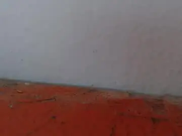 Chaturbate Live Sex of alexamdergal