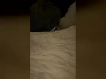 Chaturbate Live Sex Cam of sjben