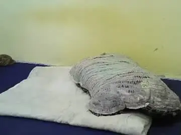 Chaturbate Watch Live Sex Cams of hot_shannia