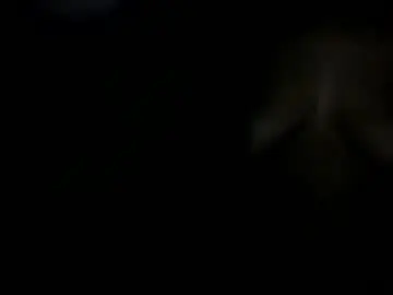 Chaturbate Best Webcam of nasty_slut87