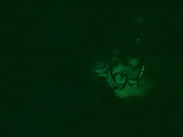 Chaturbate Free Porn Cam of toxicidad_sex