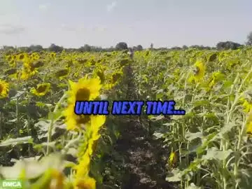 Chaturbate Free Live Porn of sunflower0907