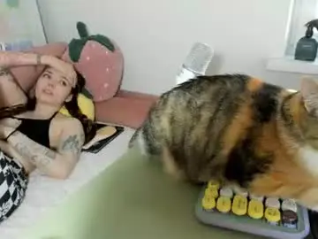Chaturbate Adult Video Chat of thisisamelia