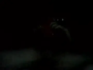 Chaturbate Private Sex Chat of levilarkins3877368