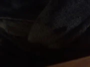 Chaturbate Private Sex Chat of bigstick13