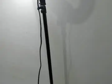 Chaturbate Live Sex Cam of dylan_brook