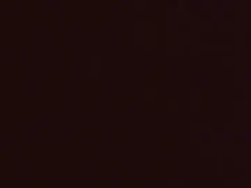 Stripchat Best live sex cam show of mariusica1@xh