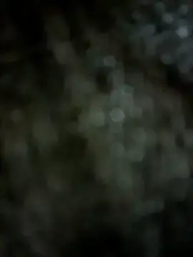 Stripchat Sex Chat of Mr_hottie_21