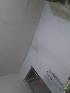 Stripchat Best live sex cam show of cobrosdepagos
