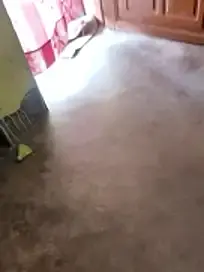 Stripchat Live Sex of Lakhsmi