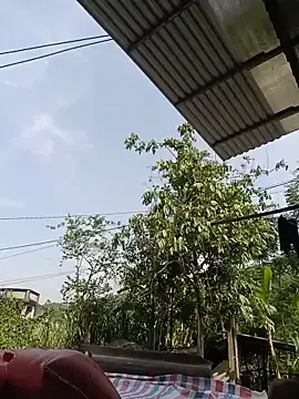Stripchat Free Porn Cam of Pretty-haert