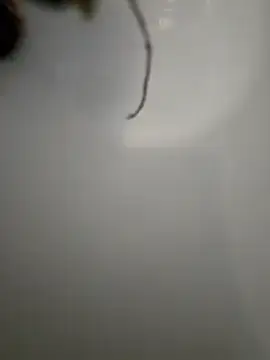 Stripchat Watch Live Sex Cams of Martpi@xh