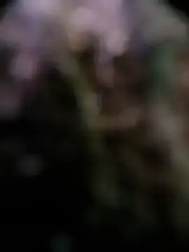 Stripchat Best Webcam of Lolo20cm6